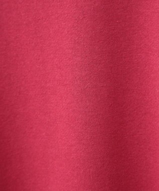 Green Parks ミッキー＆フレンズ／半起毛裏毛プルオーバー Red