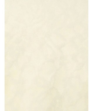 Te chichi 起毛レースニットプルオーバー（セットアップ可）《2025winter catalog item》 オフホワイト