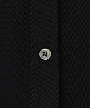 BEIGE， 【WEB限定・洗える】CELOSIA / シアースリーブスタンドカラーブラウス Black