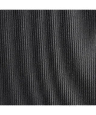 ACE BAGS & LUGGAGE ace.GENE エース フレックスルーフ2 ビジネストローリー 機内持ち込みサイズ 2-3泊 67571 ブラック