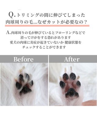 PET PARADISE ペットパラダイス コードレス ミニバリカン USB充電式 ホワイト