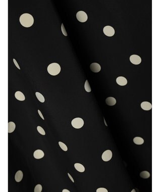 Green Parks ・ＥＬＥＮＣＡＲＥ　ＤＵＥ　ドットタフタスカート Black