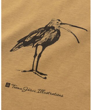 JOSEPH ABBOUD MOUNTAIN 【CREA掲載・テーム ヤルヴィモチーフ・サスティナブル】ビオグレース天竺Tシャツ キャメル系