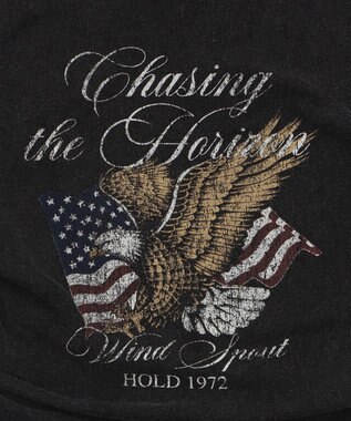 WEGO ヴィンテージライクドロストちびT 柄3