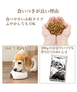 PET PARADISE ビオキッチン エイジングネオ １ｋｇ 0