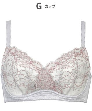 Wing ブラジャー コンパクトにバストメイク 高さをおさえる 【小さく見せるブラ】 Gカップまで対応 大きいサイズ ブラ KB6100 ウイング／ワコール