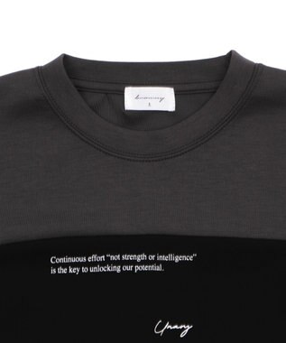 WEGO ポンチカラーパネルT（SS） ブラック中濃色