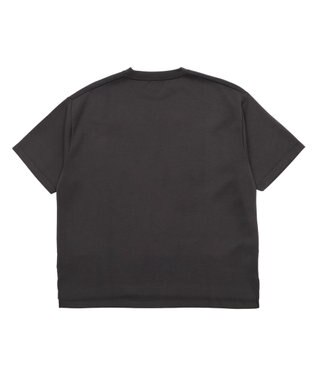 WEGO ポンチカラーパネルT（SS） ブラック中濃色