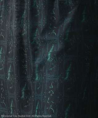 Green Parks ■ＷＩＣＫＥＤ　パターンシアースカート Black