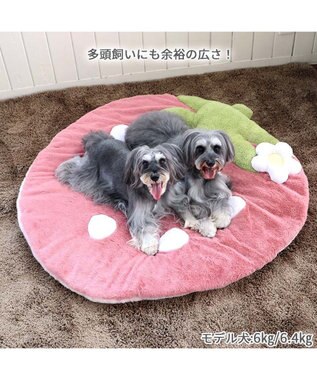 PET PARADISE  ネット店限定 くすみ苺 マット (105×107㎝用) ピンク