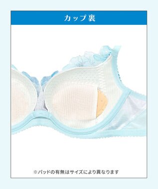 WACOAL 【夏めくブラ】 ブラジャー メッシュ素材(カップ) 吸汗速乾(肌側カップサイド・パッド受け・ワイヤーループ) 背中すっきり レディース BRB465 /ワコール サックス