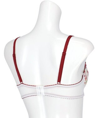 Wing ブラジャー Wing Lesiage ふんわりまるみメイク ソフトなつけごこち 【2120シリーズ】 ブラ Gカップまで対応 大きいサイズ PB2120 ウイング／ワコール ホワイト