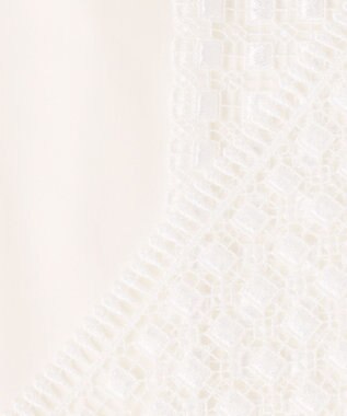 ICB L 【WEB＆一部店舗限定】 SustainableSquareLace フレンチスリーブシャツ オフホワイト