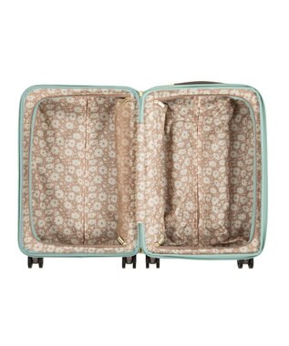 ACE BAGS & LUGGAGE hiromichi nakano リーヴァ2 スーツケース 機内持ち込み 36L 05013 ヒロミチナカノ ミント