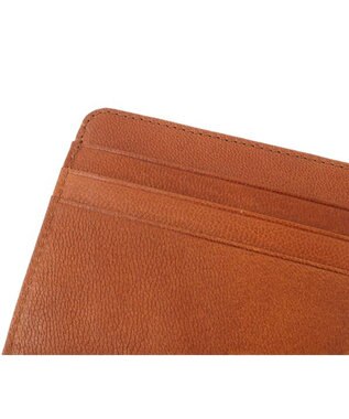 genten ゴートベーシック フラグメントケース チャ