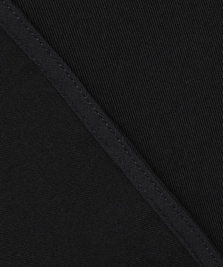 BEIGE， 【WEB限定・洗える】CELOSIA / シアースリーブスタンドカラーブラウス Black