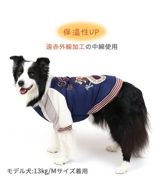 PET PARADISE ペットパラダイス 遠赤外線 スカジャン 《龍》 中型犬 大型犬 ネイビー