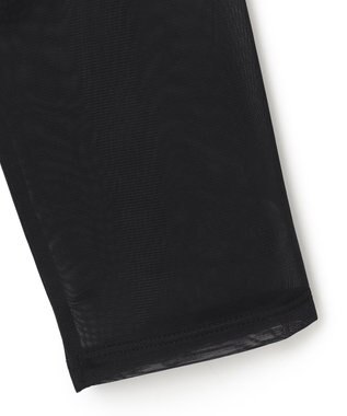 ICB L 【洗える】 マットトリコットチュール シアーカットソー ブラック系