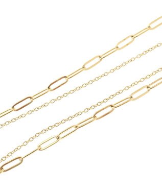 AMERICAN HOLIC ステンレス　ＣＯＩＮ２連ネックレス Gold