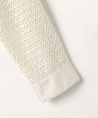 J.PRESS LADIES レースジャージー バンドカラー カットソー グレージュ系