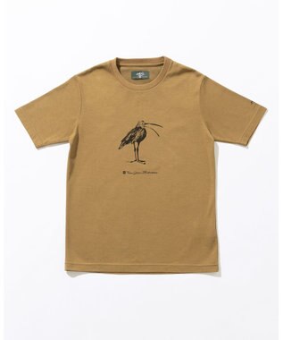 JOSEPH ABBOUD MOUNTAIN 【CREA掲載・テーム ヤルヴィモチーフ・サスティナブル】ビオグレース天竺Tシャツ キャメル系