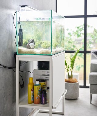 tower 水槽ラック タワー ホワイト ホワイト