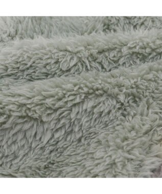 PET PARADISE ペットパラダイス 恐竜もこボアパーカー   超小型犬 小型犬 グリーン