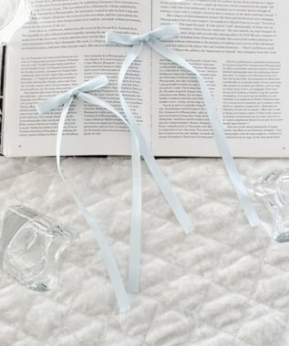 WEGO L2Pロングナローリボンクリップ