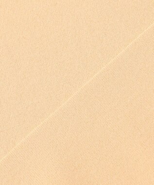 J.PRESS LADIES L 【洗える】レーヨンエリートストレッチ 編み柄 ニット イエロー系