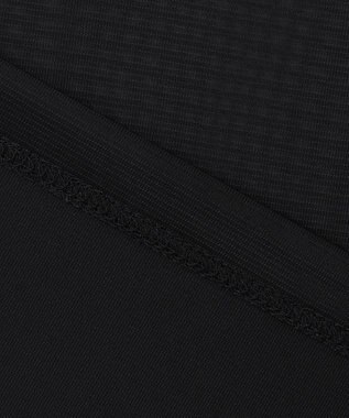 ICB L 【洗える】 マットトリコットチュール シアーカットソー ブラック系