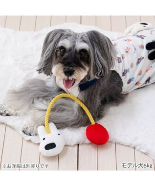 PET PARADISE リサとガスパール ロープトイ 《リサ》 イエロー