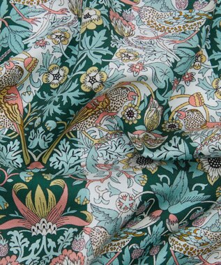 LIBERTY. ストロベリー シーフ ストライプ シルクポケットチーフ グリーン