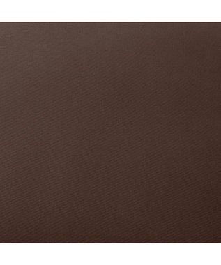 ACE BAGS & LUGGAGE Kanana project PJ8-3rd LTD 67844 ショルダーバッグ 軽量 軽い おでかけ 旅行 カナナ ダークブラウン