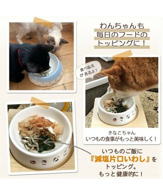 PET PARADISE ペットパラダイス 犬 おやつ デリスタイル8種類 ヘルシー系セット -