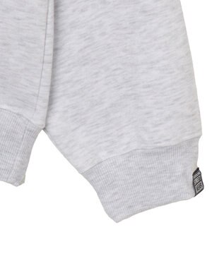 WEGO 【ユニセックス着用ITEM】VISIONゴーストスケータープルオーバー アッシュグレー