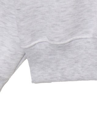 WEGO 【ユニセックス着用ITEM】VISIONゴーストスケータープルオーバー アッシュグレー