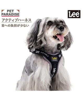 PET PARADISE Lee ロゴアクティブ ハーネス Ｓ