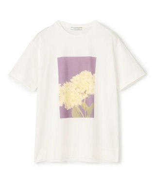 BEIGE， 【洗える・クロワッサン 掲載】PENTAS / オリジナルフォトプリントＴシャツ Annabelle