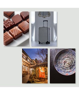 antina gift studio stage up(ステージアップ) カタログギフト ＜ポールシャーナン＞ -