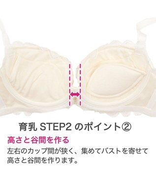 BRADELIS New York 【BRADELIS New York】ローズステップ２ブラ23S1 育乳補整 ふんわり寄せて脇まですっきりする補整ブラ ホワイト