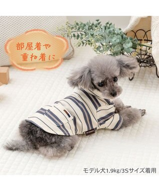 PET PARADISE ペットパラダイス ペティヒート Tシャツ 《マルチボーダー 》小型犬 ベージュ×グレー