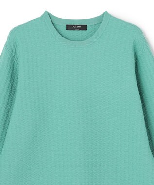 JOSEPH HOMME 新柄【イージーケア】 ヴィスコースリンクス　クルーネックニット スモーキーグリーン系