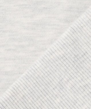 J.PRESS MEN 【Pennant Label】Sweatshirt / Yale ライトグレー系