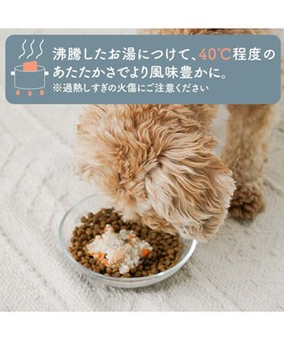 PET PARADISE 愛犬にやさしい スープごはん 鶏 0