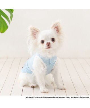 PET PARADISE ミニオン ポケットクール タンクトップ 《デイジー柄》 小型犬 ライトブルー