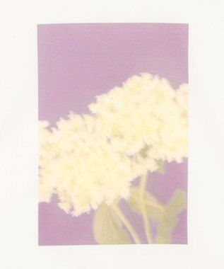 BEIGE， 【洗える・クロワッサン 掲載】PENTAS / オリジナルフォトプリントＴシャツ Annabelle