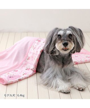 PET PARADISE ディズニー ミニーマウス クールケット 《レース柄》 小型犬 ブランケット レース柄