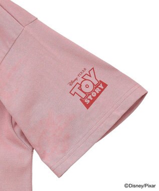 Green Parks ＴＯＹ　ＳＴＯＲＹ　／　立体プリント半袖ＴＥＥ Pink