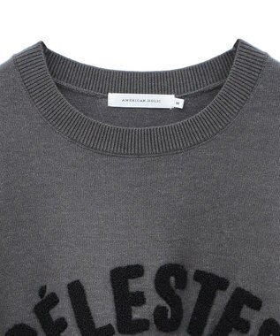 AMERICAN HOLIC バイパチＣＥＲＥＳＴＥＳロゴニットプルオーバー Gray Mixture