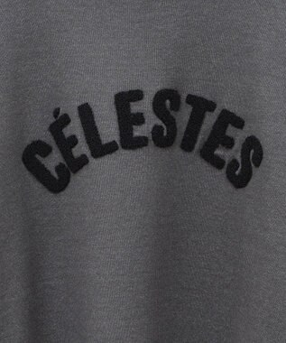 AMERICAN HOLIC バイパチＣＥＲＥＳＴＥＳロゴニットプルオーバー Gray Mixture